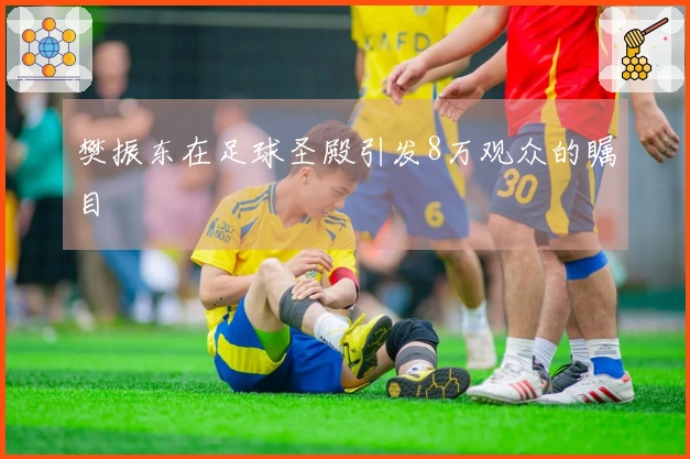 樊振东在足球圣殿引发8万观众的瞩目